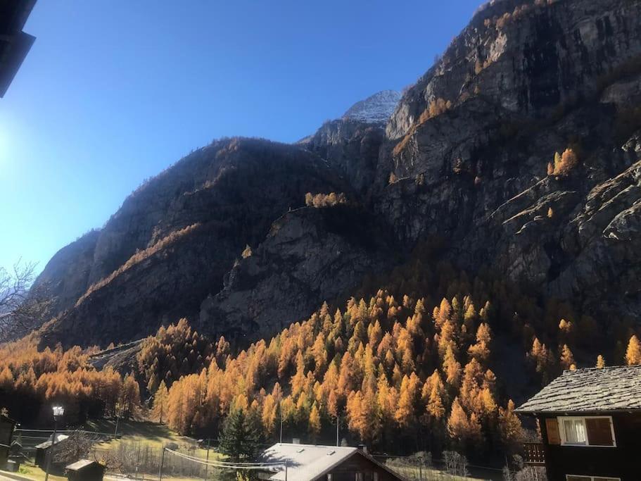 Nina With Garage Direct Train To Zermatt Sankt Niklaus